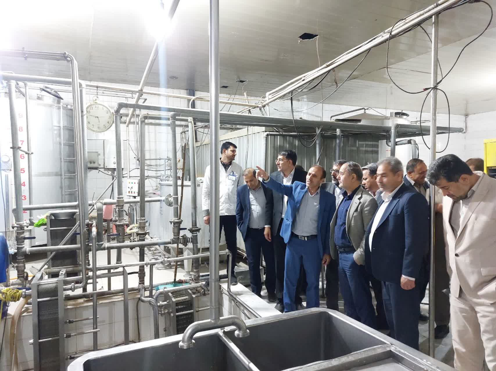 بازدید میدانی مدیرعامل سازمان مرکزی تعاون روستایی ایران از شرکت دامداران فجر فلاورجان با هدف تقویت تعاونی‌های تولیدی_1